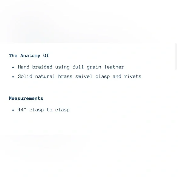 Blair Ritchey BB Voyager in Perforated Ginger with Ginger Wristlet Strap, EUC - Picture 15 of 15